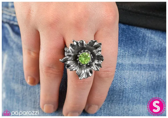 Paparazzi Jewelry Rings Paparazzi Ring Little Havana Green