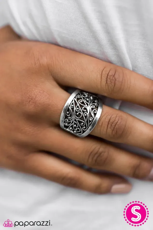Paparazzi Jewelry Rings Paparazzi Ring Valley Vineyards Silver