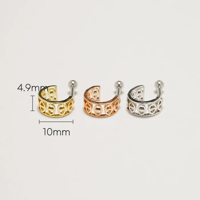 MinimalBijoux Earrings Coin Bold Cartilage Ear Piercing 16G